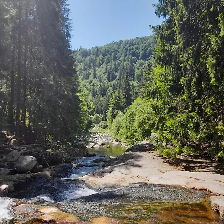 Cozy In Bedrichov - Apartamento Špindlerŭv Mlýn