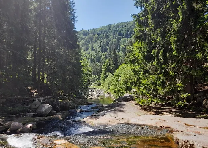 Cozy In Bedrichov - דירה Špindlerŭv Mlýn
